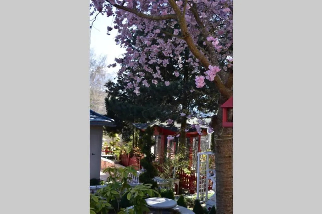 Gite Au Printemps Japonais, Petit Train De La Mure, Parc Des Ecrins Pierre-Chatel