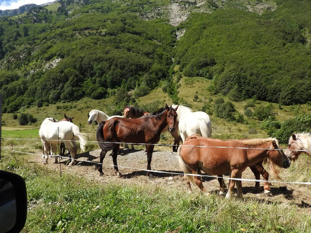 بيت للعطل Gite Au Printemps Japonais, Petit Train De La Mure, Parc Des Ecrins Pierre-Chatel فرنسا